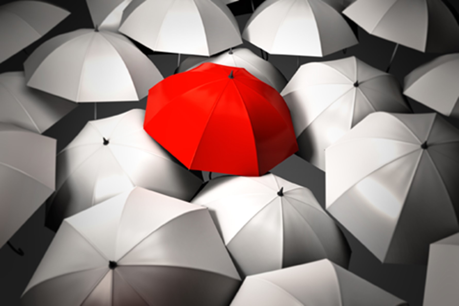 Personal Guarantee Insurance